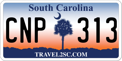 SC license plate CNP313