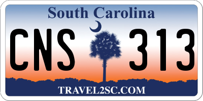 SC license plate CNS313