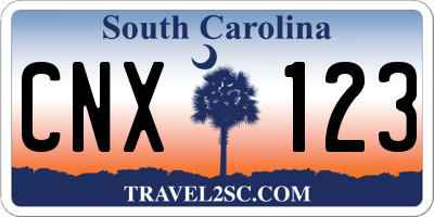 SC license plate CNX123