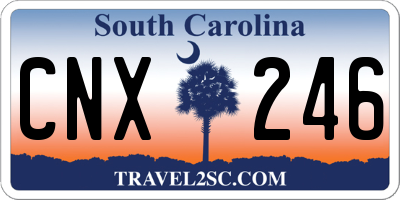 SC license plate CNX246