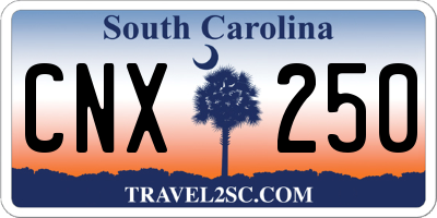 SC license plate CNX250