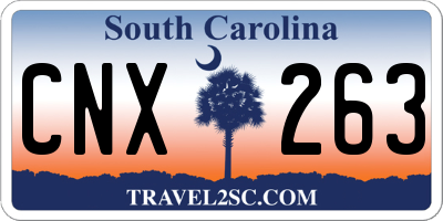 SC license plate CNX263