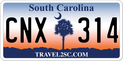 SC license plate CNX314