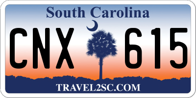 SC license plate CNX615