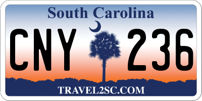 SC license plate CNY236