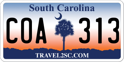SC license plate COA313