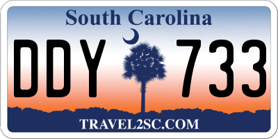 SC license plate DDY733