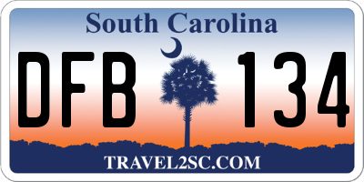 SC license plate DFB134