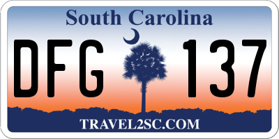 SC license plate DFG137