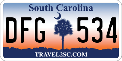 SC license plate DFG534