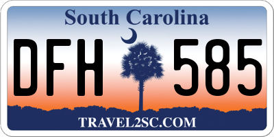 SC license plate DFH585