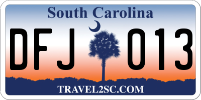 SC license plate DFJ013