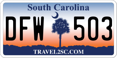 SC license plate DFW503