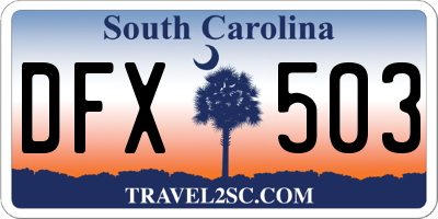 SC license plate DFX503