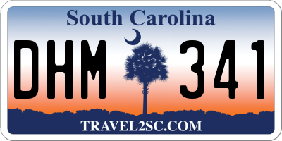 SC license plate DHM341