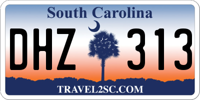 SC license plate DHZ313