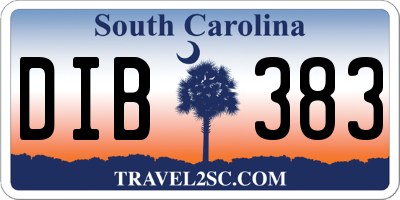 SC license plate DIB383