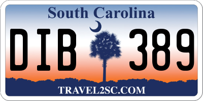 SC license plate DIB389