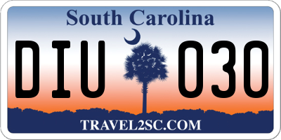 SC license plate DIU030