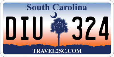SC license plate DIU324