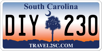 SC license plate DIY230