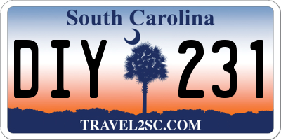 SC license plate DIY231