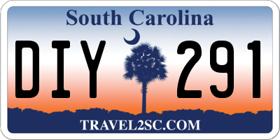 SC license plate DIY291
