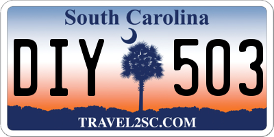 SC license plate DIY503