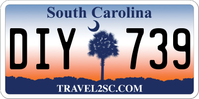 SC license plate DIY739