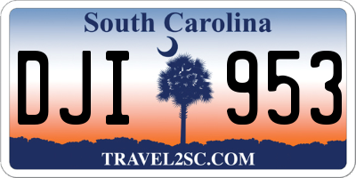 SC license plate DJI953
