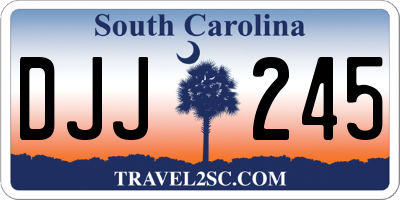 SC license plate DJJ245