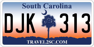 SC license plate DJK313