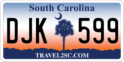SC license plate DJK599
