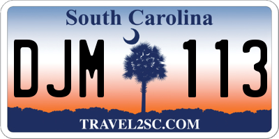 SC license plate DJM113