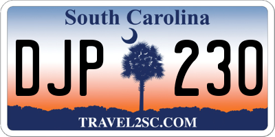 SC license plate DJP230