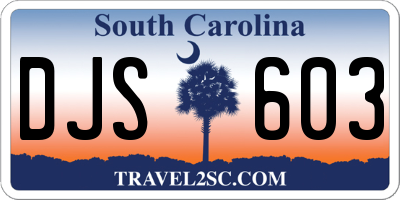 SC license plate DJS603
