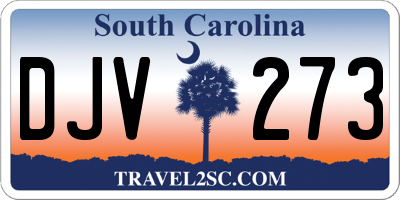 SC license plate DJV273