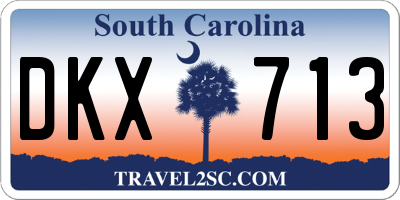 SC license plate DKX713