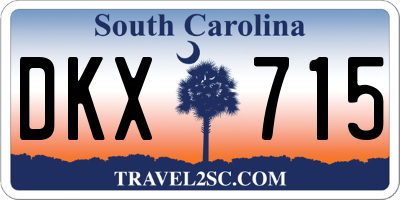 SC license plate DKX715