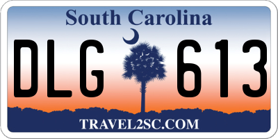 SC license plate DLG613