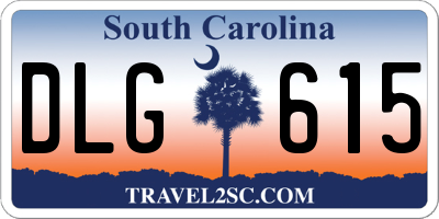 SC license plate DLG615