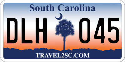SC license plate DLH045