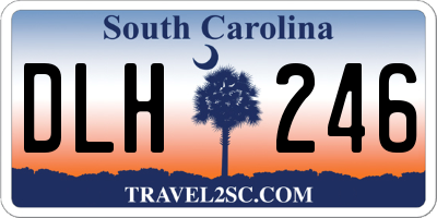 SC license plate DLH246
