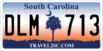 SC license plate DLM713