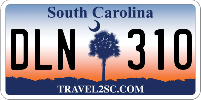 SC license plate DLN310