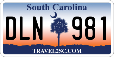 SC license plate DLN981