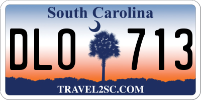 SC license plate DLO713