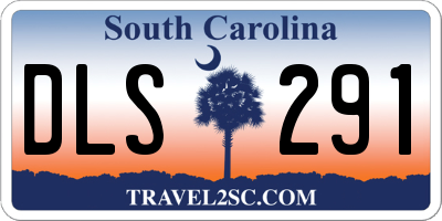SC license plate DLS291
