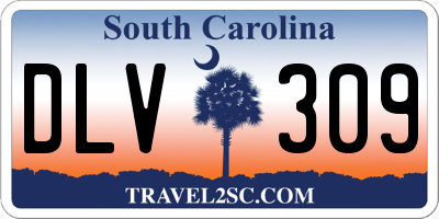 SC license plate DLV309