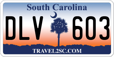 SC license plate DLV603